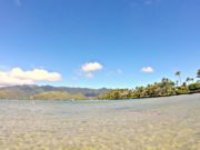 Uma antiga técnica havaiana para resolver todos os problemas hawaii