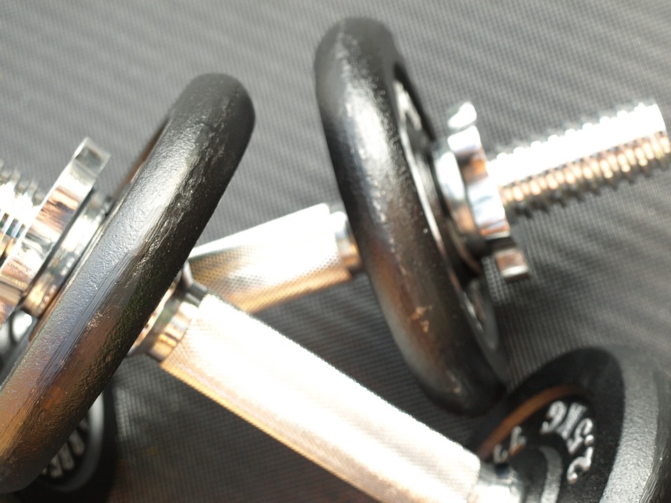 par de halters